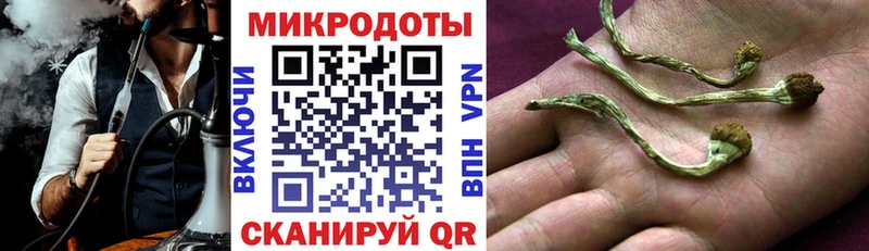 Галлюциногенные грибы Cubensis  как найти   Вичуга 